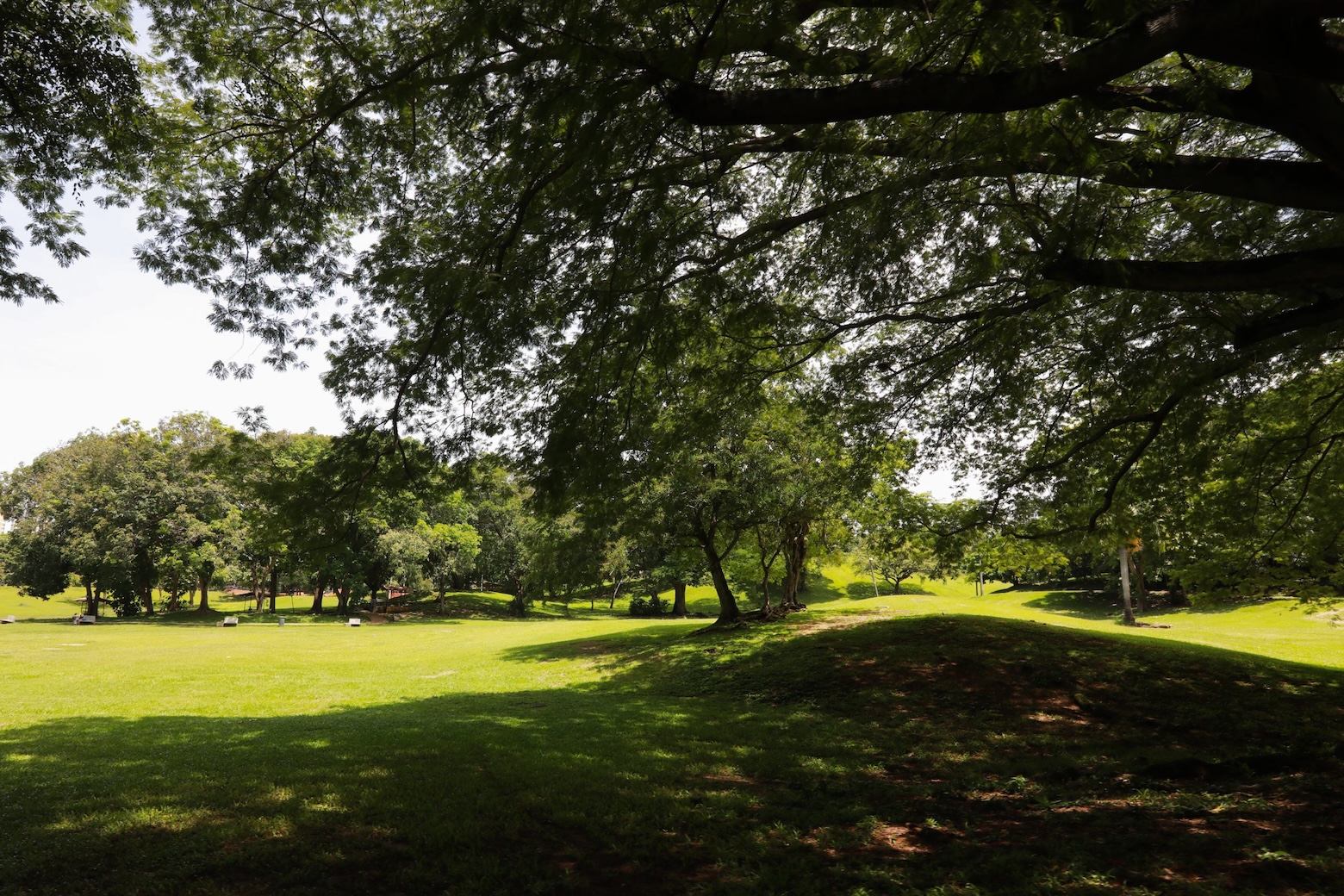Parque Recreativo Omar