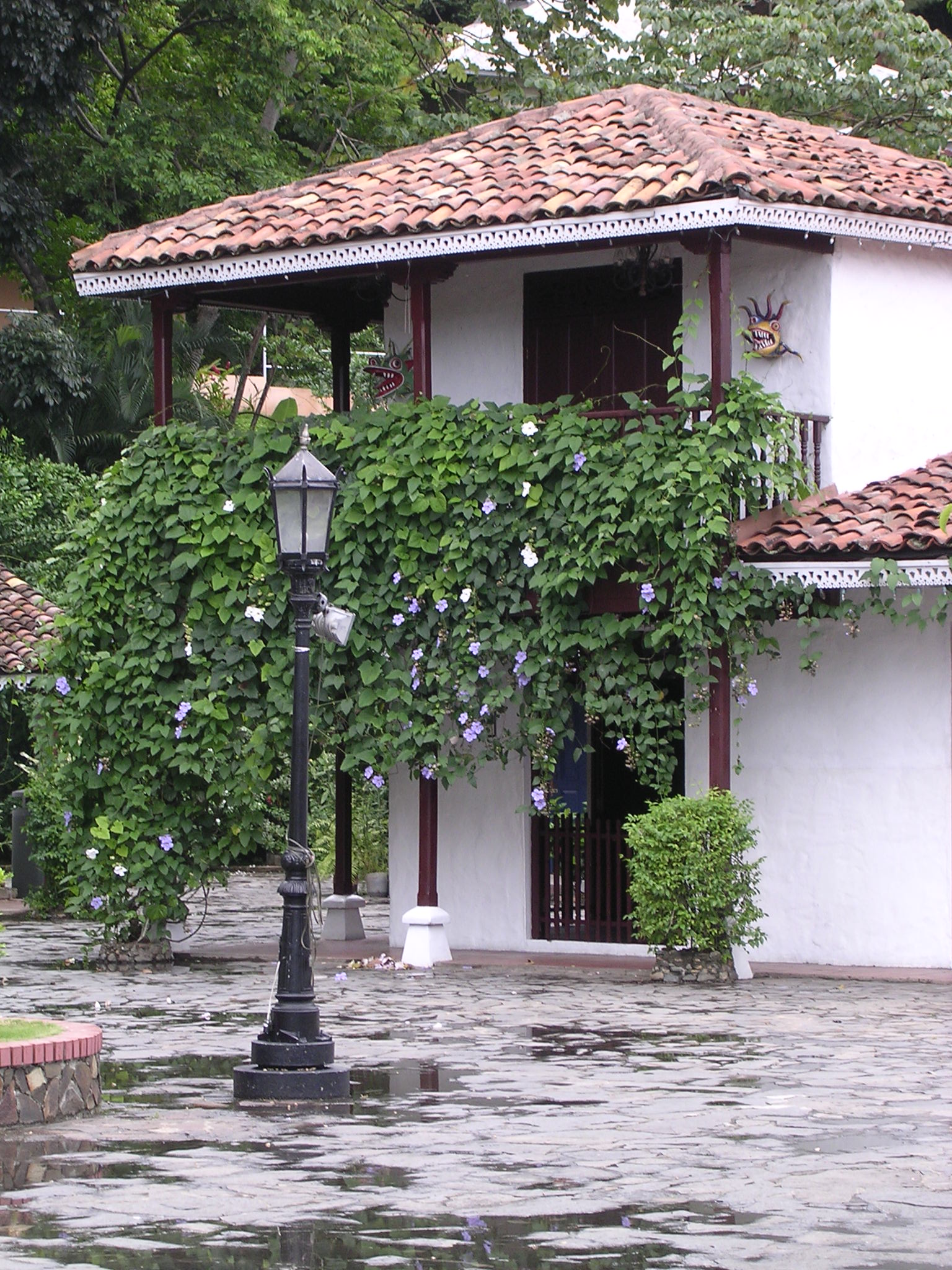 Mi Pueblito